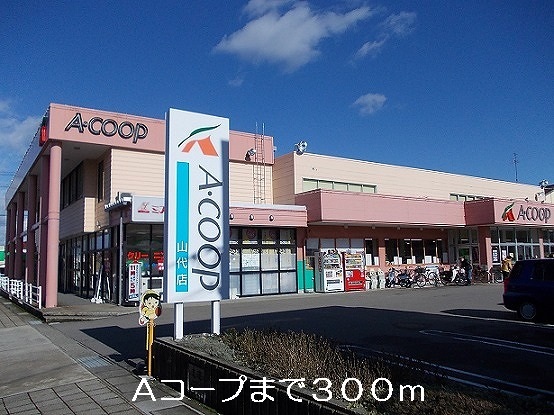 Supermarket. 300m to A Co-op (super)