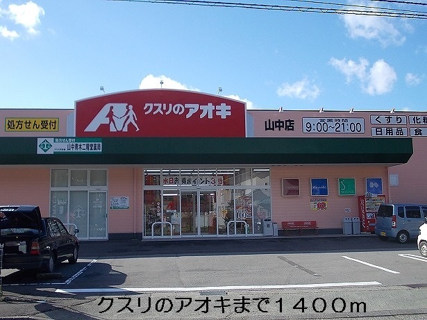 Dorakkusutoa. Medicine of Aoki 1400m up (drugstore)