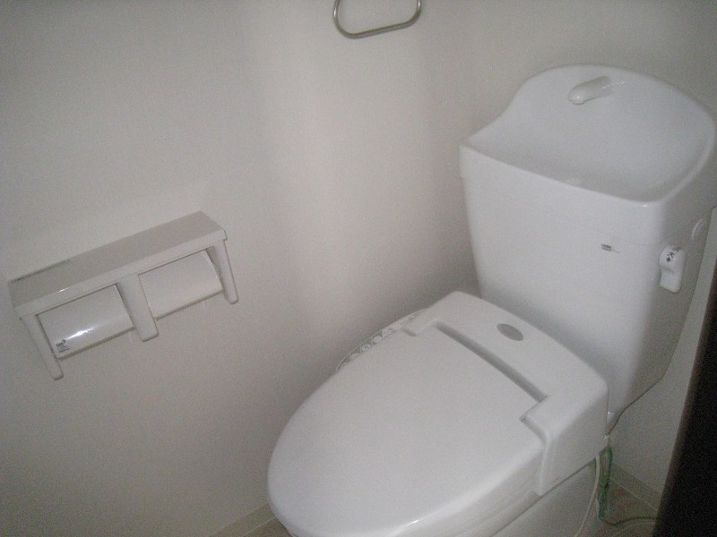 Toilet. Warm water washing heating toilet seat