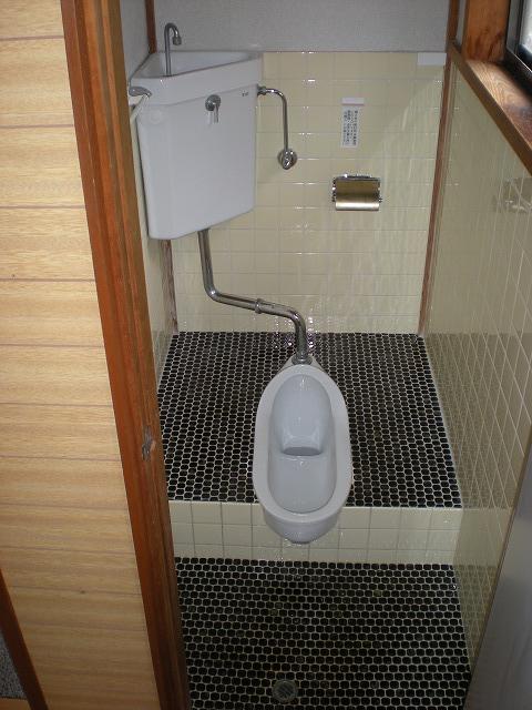 Toilet. Japanese style