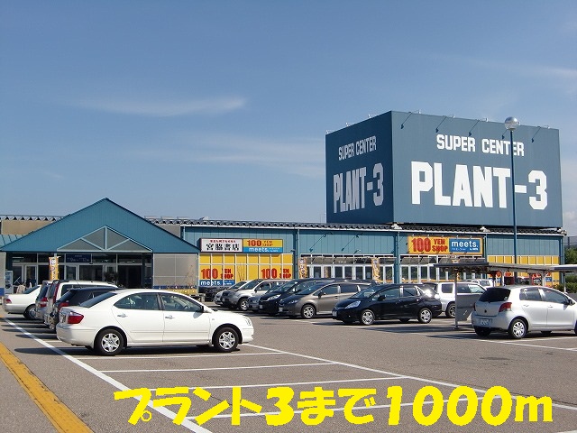 Home center. Plant 3 1000m up (home improvement)