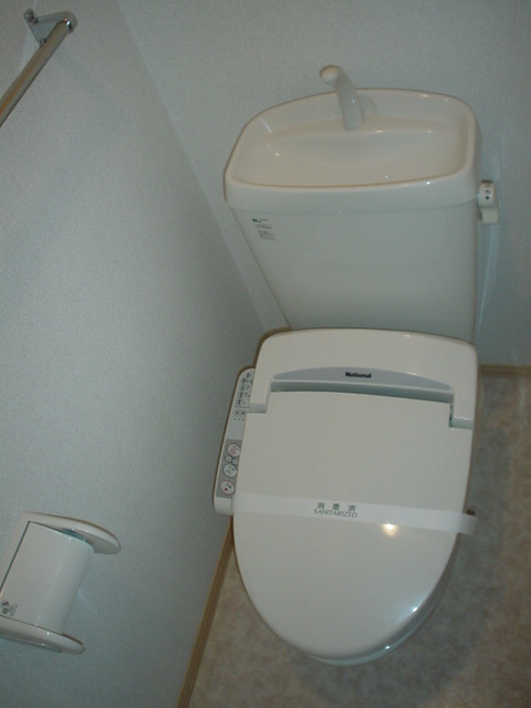 Toilet. Washlet with