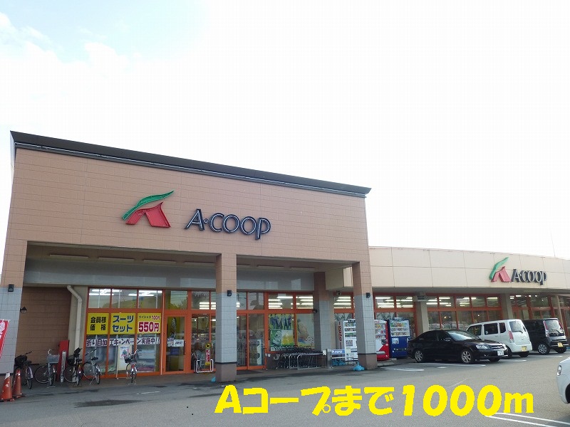 Supermarket. 1000m to A Co-op (super)