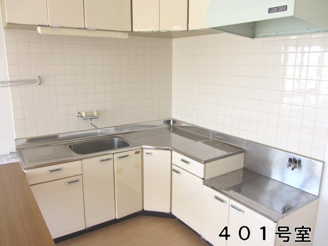 Kitchen. Reference photograph
