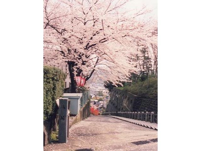 Other local. Surrounding environment Yasaka photo