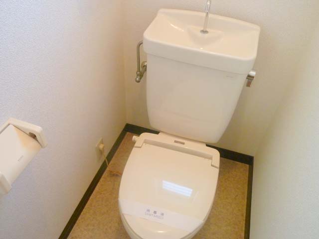 Toilet. Reference photograph