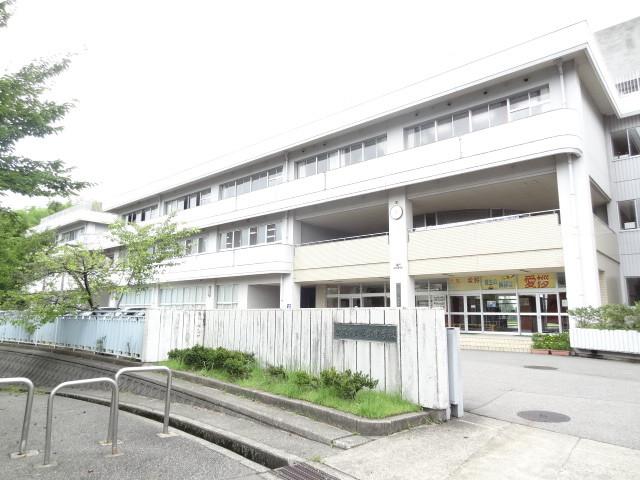 Other local. Saisei junior high school