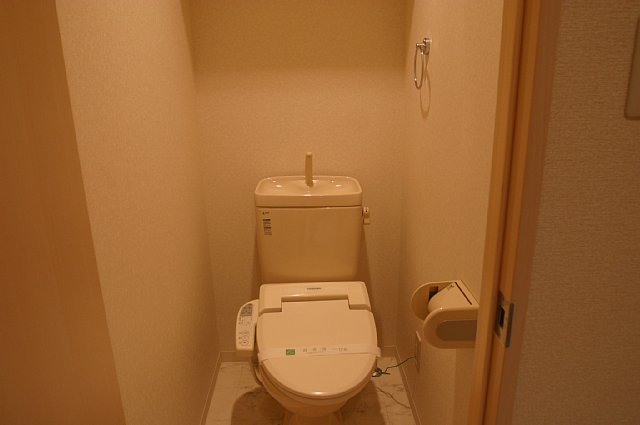 Toilet. Washlet toilet