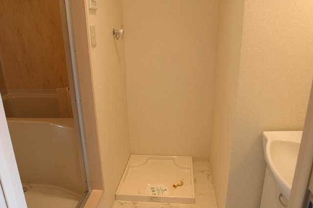 Washroom. Laundry Area