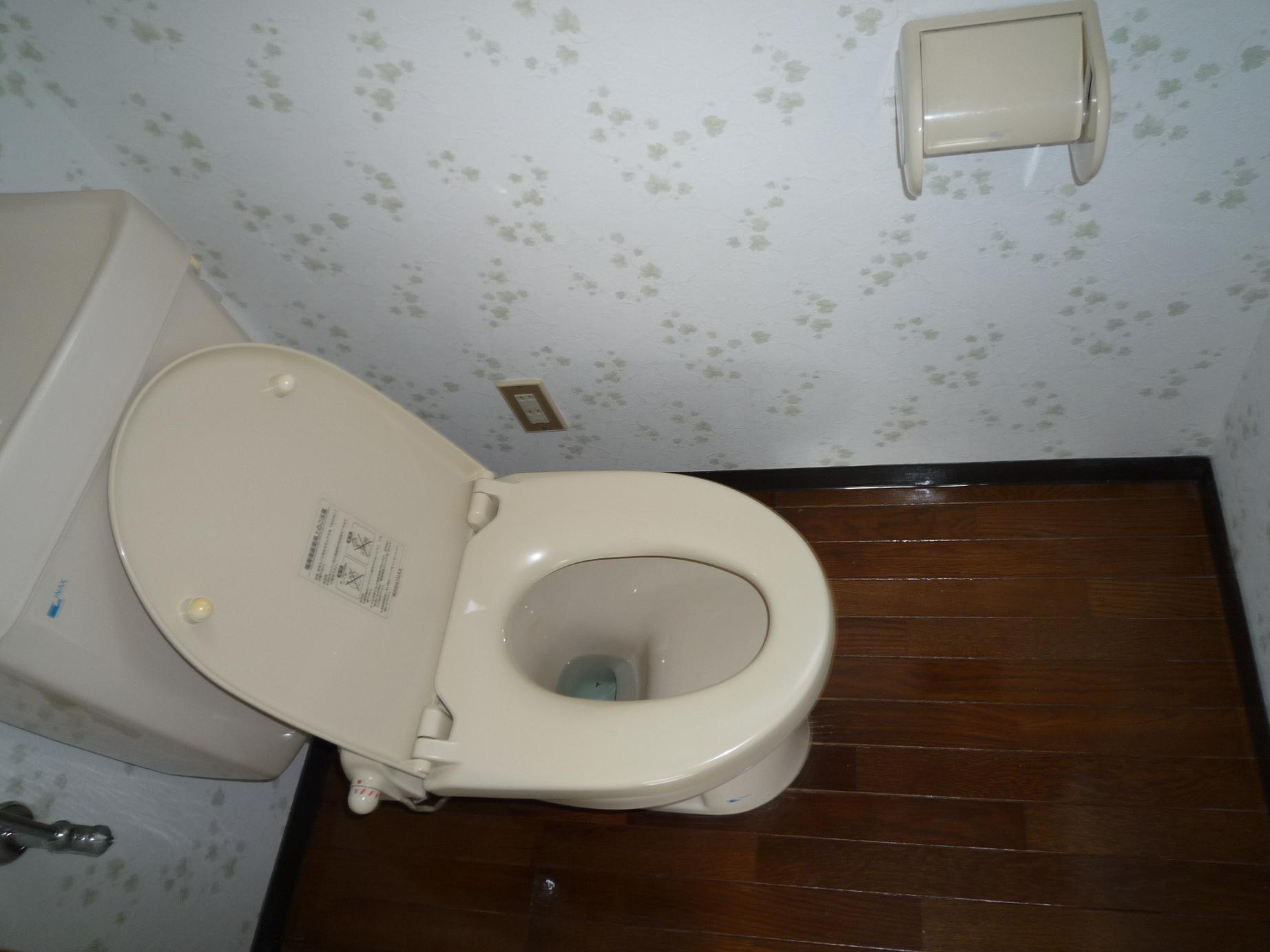 Toilet