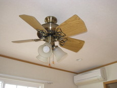 Other Equipment. Ceiling fans ☆