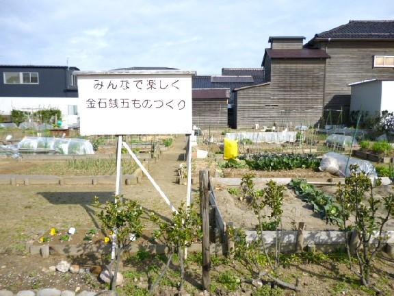 Other Environmental Photo. Jinshi Qian five manufacturing vegetable garden