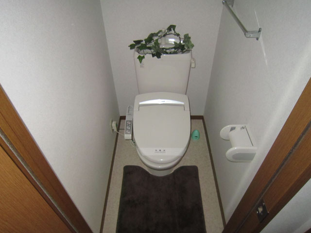 Toilet. Reference photograph