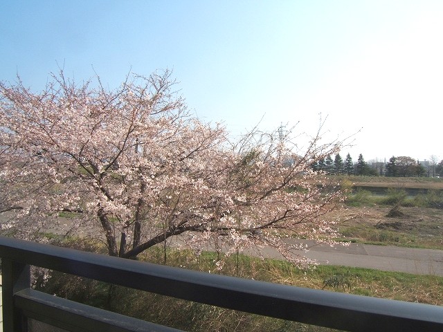 View. The view from the veranda