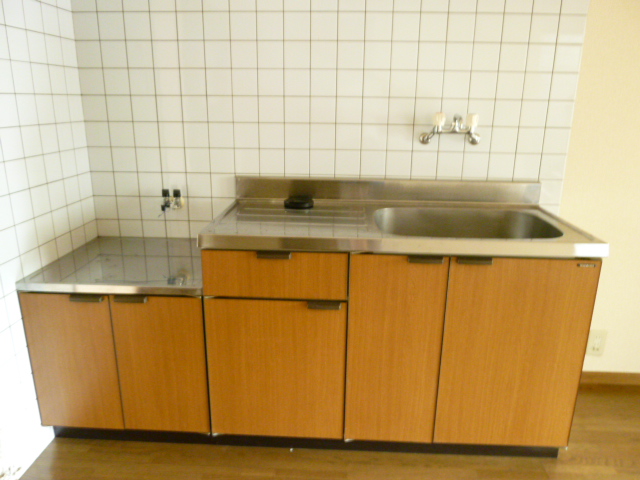 Kitchen. Sink