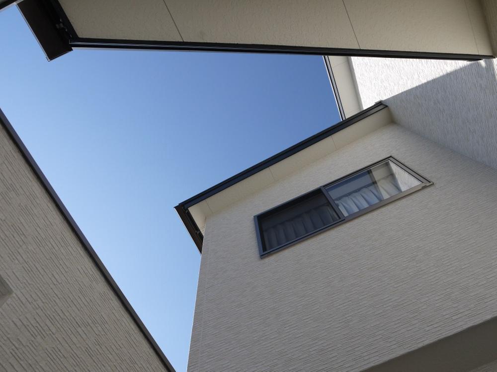 Garden. Local (March 2013) Shooting