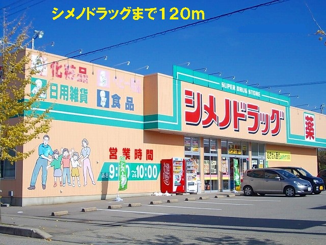 Dorakkusutoa. Shimeno 120m to drag (drugstore)