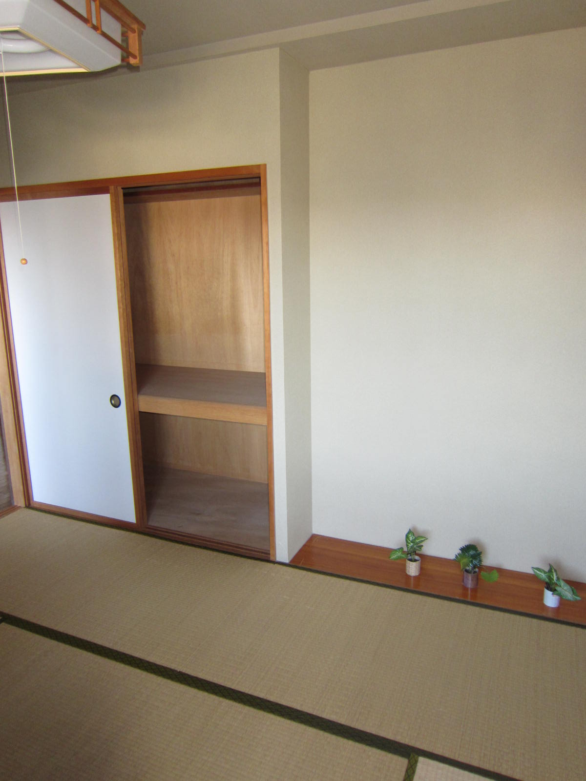 Other room space. There is also a alcove