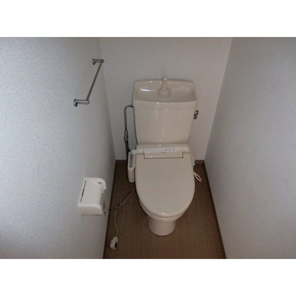 Toilet. Japanese style room