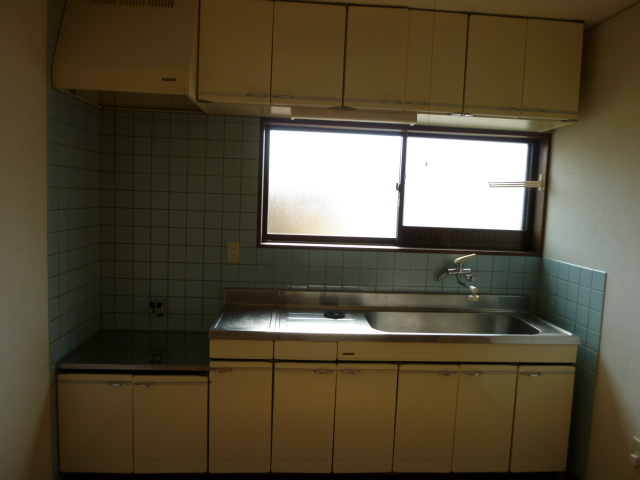 Kitchen. Sink