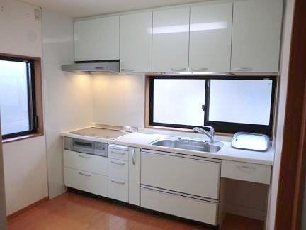 Kitchen. Indoor (12 May 2012) shooting