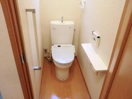 Toilet. Indoor (12 May 2012) shooting