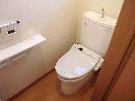Toilet. Indoor (12 May 2012) shooting