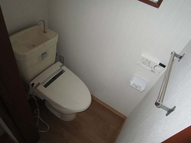 Toilet. Reference photograph