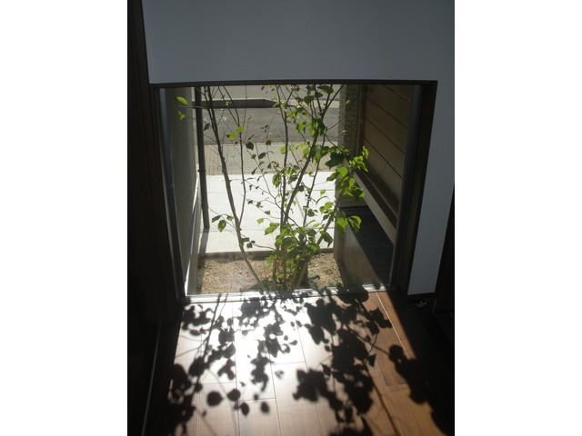 Other. Brightly illuminate the courtyard space the entrance