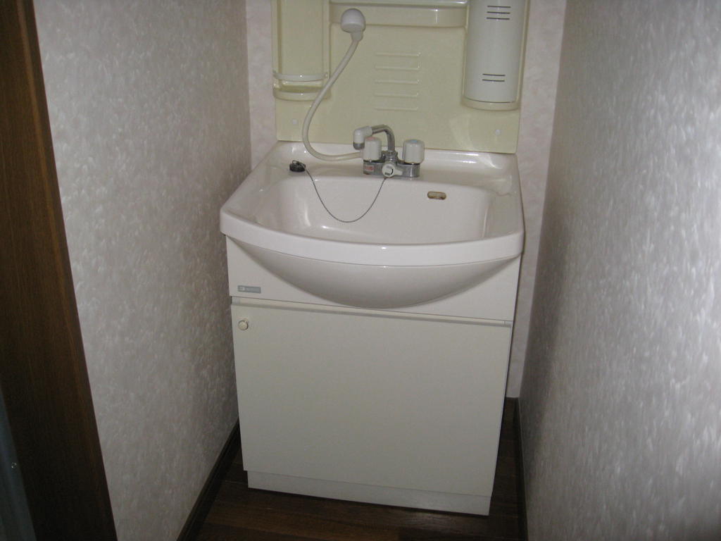 Washroom. Shampoo dresser