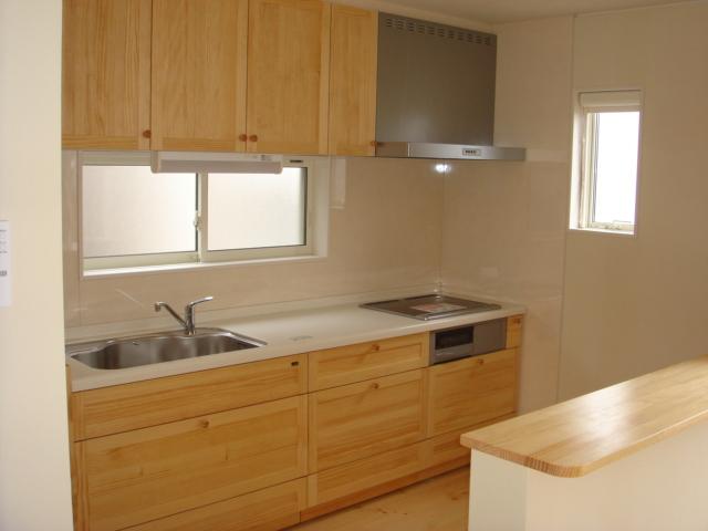 Kitchen. Indoor (12 May 2013) Shooting