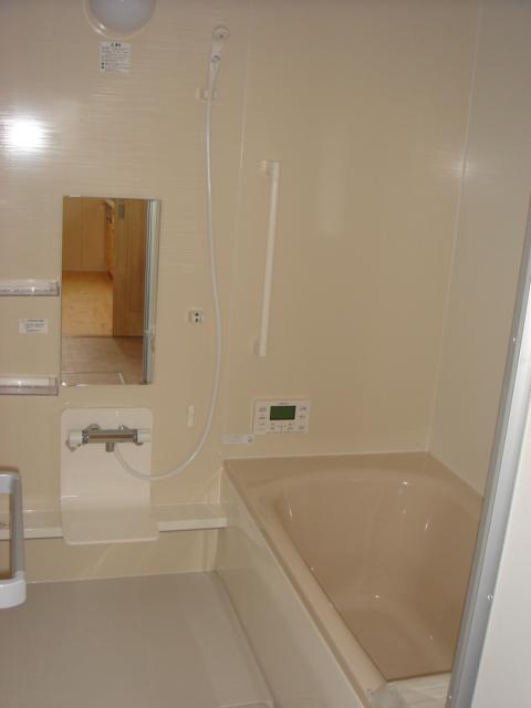 Bathroom. Indoor (12 May 2013) Shooting