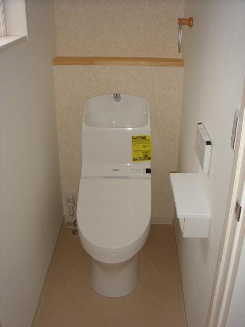 Toilet. Indoor (12 May 2013) Shooting