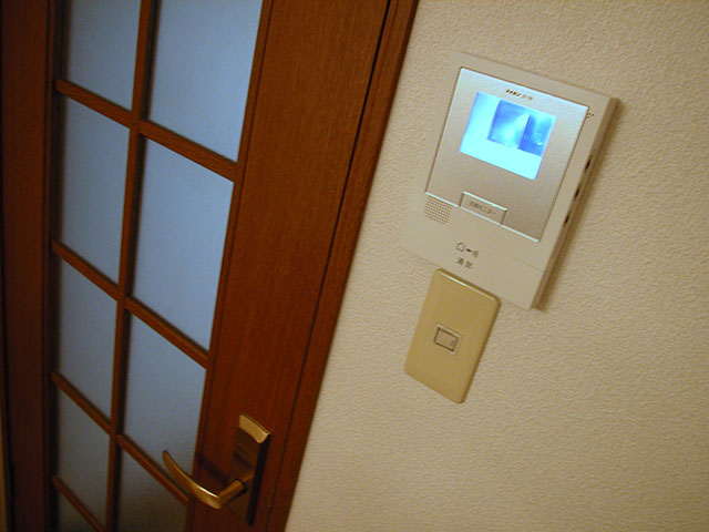 Security. TV monitor with intercom