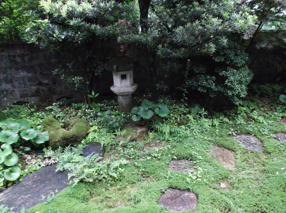 Garden. Local (June 2012) shooting
