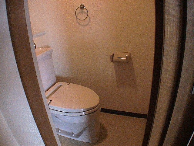 Toilet. Reference photograph