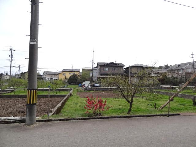 Other local. Before the grounds of the eye is a field