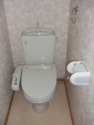 Toilet