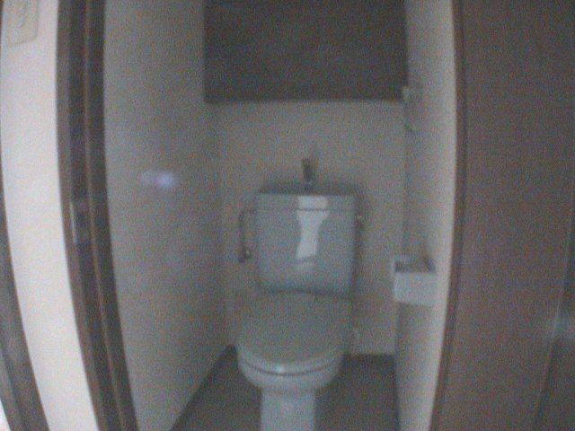 Toilet. Reference photograph