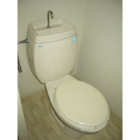 Toilet. Toilet