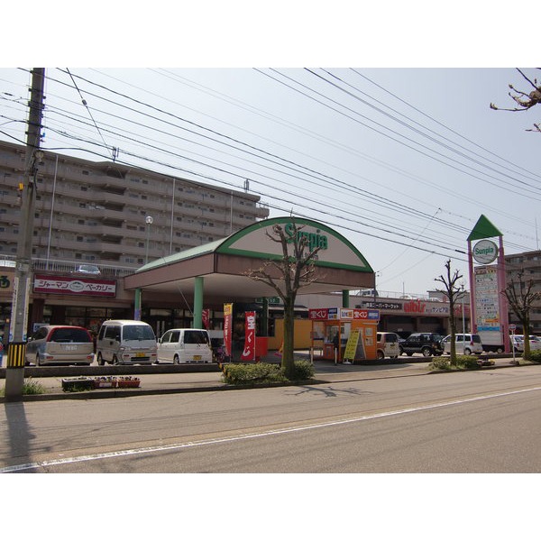 Supermarket. albis Izumigaoka Sanpia store up to (super) 881m