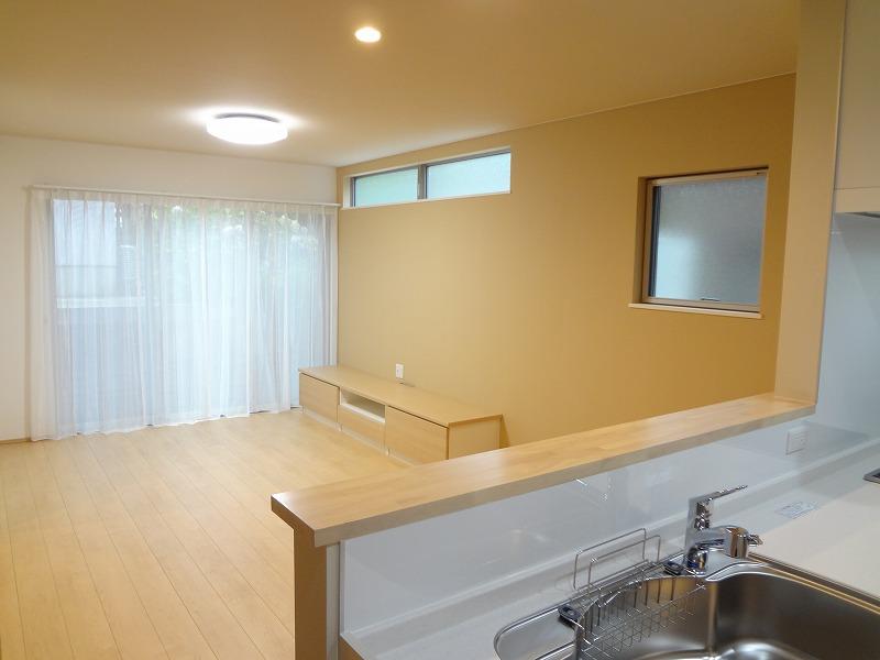 Living. Room (August 2013) Shooting