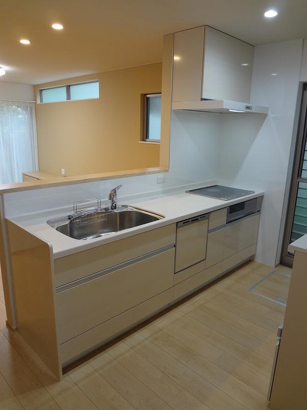 Kitchen. Room (August 2013) Shooting