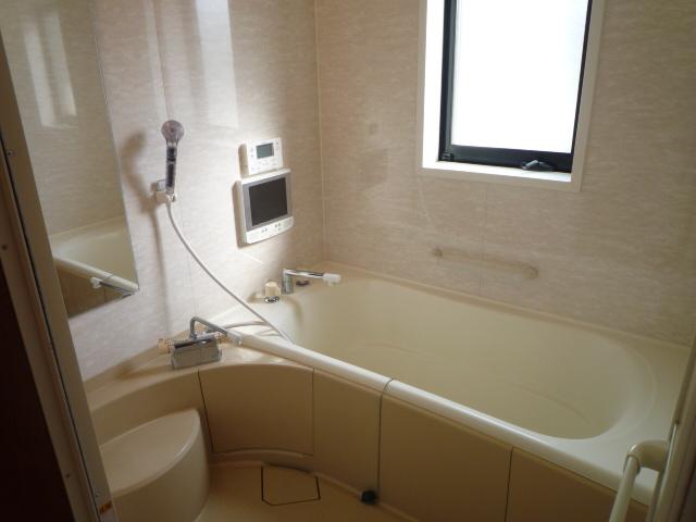 Bathroom. Indoor (12 May 2013) Shooting