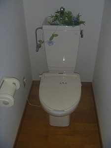 Toilet