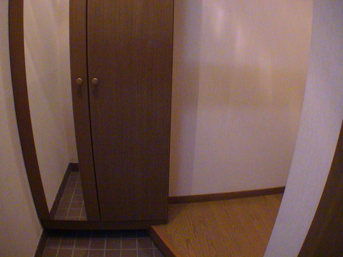 Entrance. Cupboard ・ With mirror