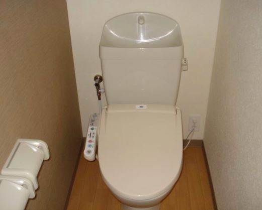 Toilet. It is similar to photo.