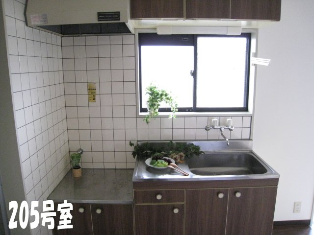 Kitchen. Reference photograph