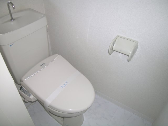 Toilet. Reference photograph