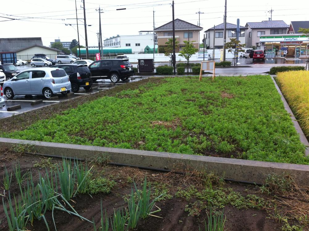 Local land photo. Local viewed from behind